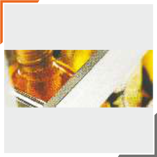 SS Satin Bottle Pullout with (Two Shelves)